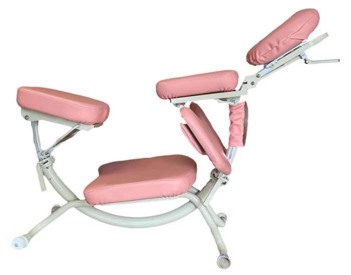 Dolphin II massage chair photo